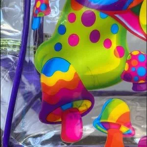 VTG Lisa Frank Peekaboo Tortoise clear medium-sized backpack - READ! il_fullxfull.7369504457_efjf.jpg main image 3